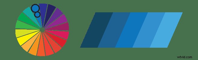 Expert Colour Tips to Captivate Your Audience and Elevate Videos