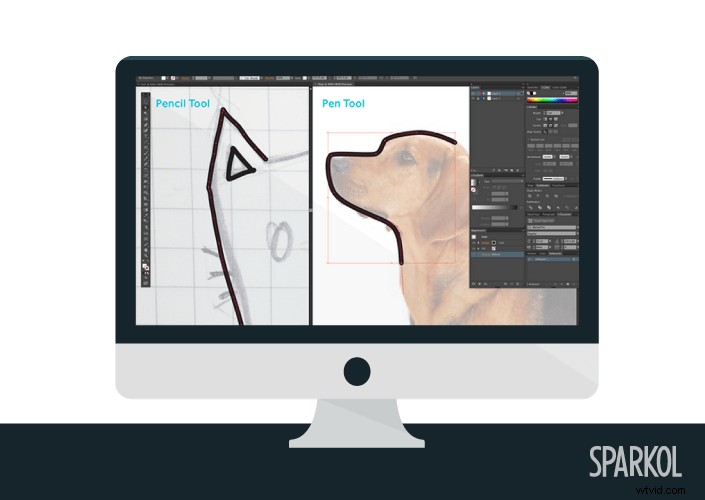 Create Perfect SVGs for VideoScribe in Adobe Illustrator: Step-by-Step Guide