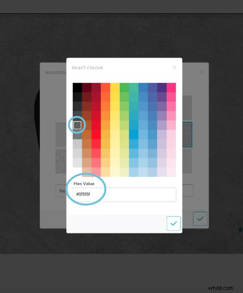Discover 3 Engaging VideoScribe Background Styles to Elevate Your Videos
