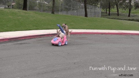 Top 12 Online Video Editors for 2024: Perfectly Tailored to Your Needs