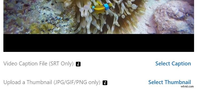 How to Add Professional Subtitles to LinkedIn Videos for Maximum Engagement