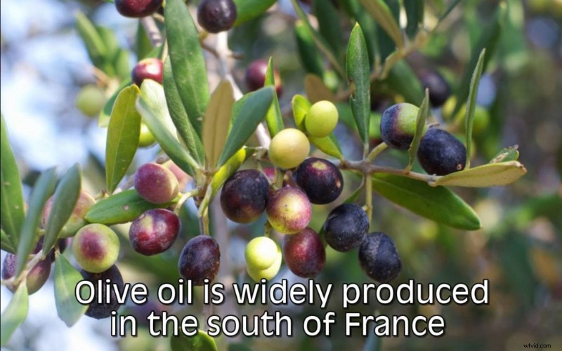 Top 10 Best Subtitle Fonts: Most Readable and Eye-Pleasing for Videos