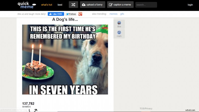 Best Free Online Meme Generators: Top Tools to Create Custom Memes