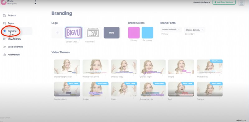 Seamless Team Collaboration on Video Projects with BIGVU