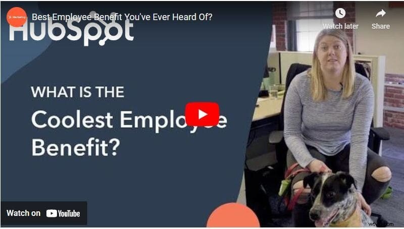 Top Recruitment Video Examples & Proven Tips to Attract Talent