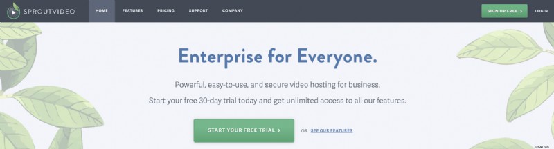 Top 9 Video Hosting Platforms in 2022: Expert Picks for Creators