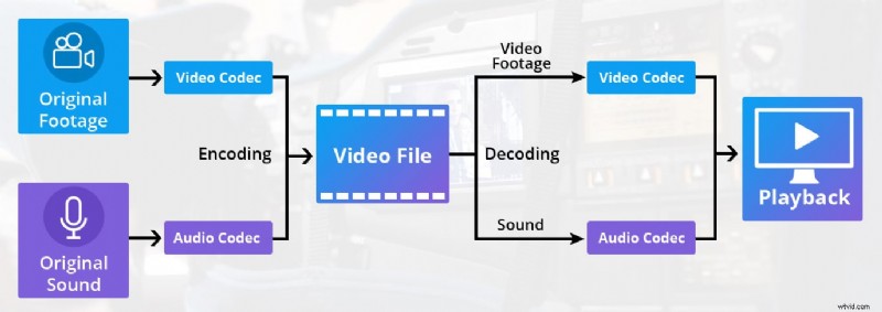 Top 8 Video File Formats: When to Use Each for Optimal Results