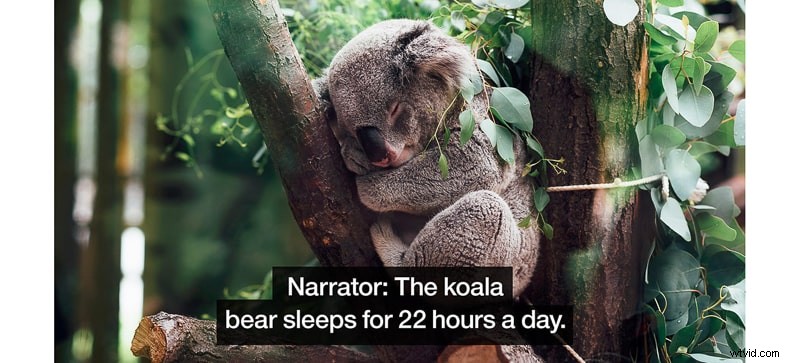 4 Effortless Ways to Add Captions to Videos Online for YouTube, Instagram & Facebook