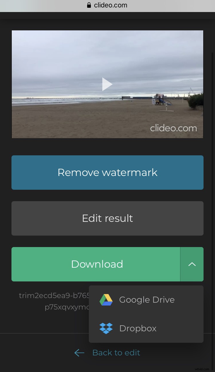 How to Flip or Mirror Videos on iPhone: 2 Easy Methods