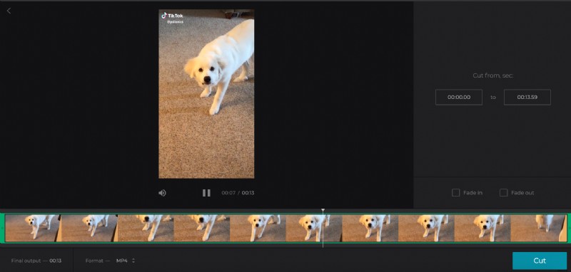 TikTok FAQs: Everything You Need to Know About the Viral App