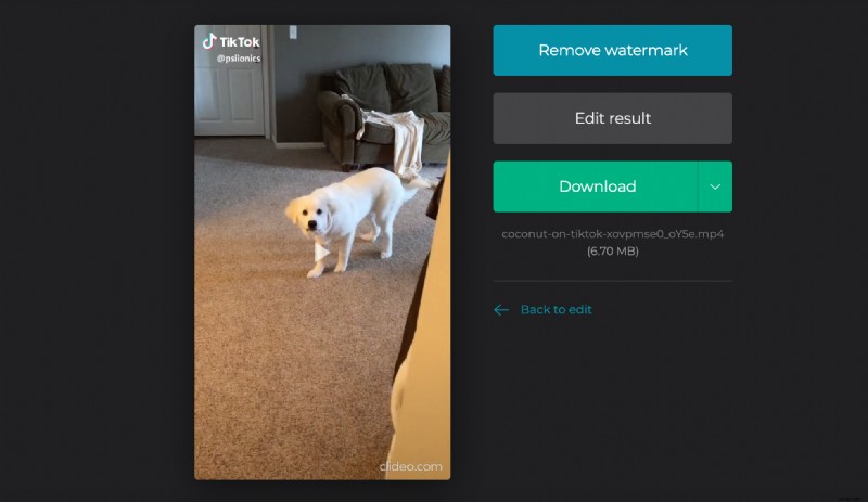 TikTok FAQs: Everything You Need to Know About the Viral App