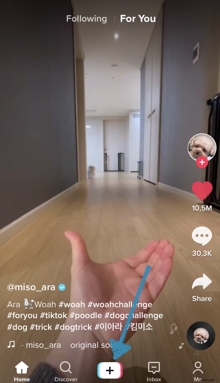 TikTok FAQs: Everything You Need to Know About the Viral App