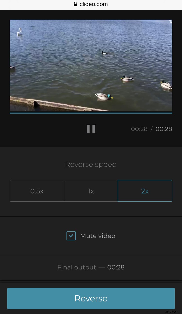 How to Reverse Videos on iPhone: Easy Step-by-Step Guide
