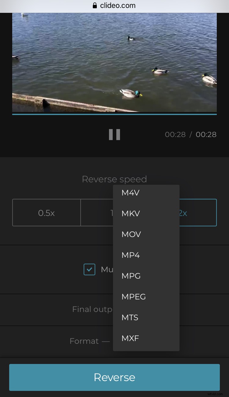 How to Reverse Videos on iPhone: Easy Step-by-Step Guide
