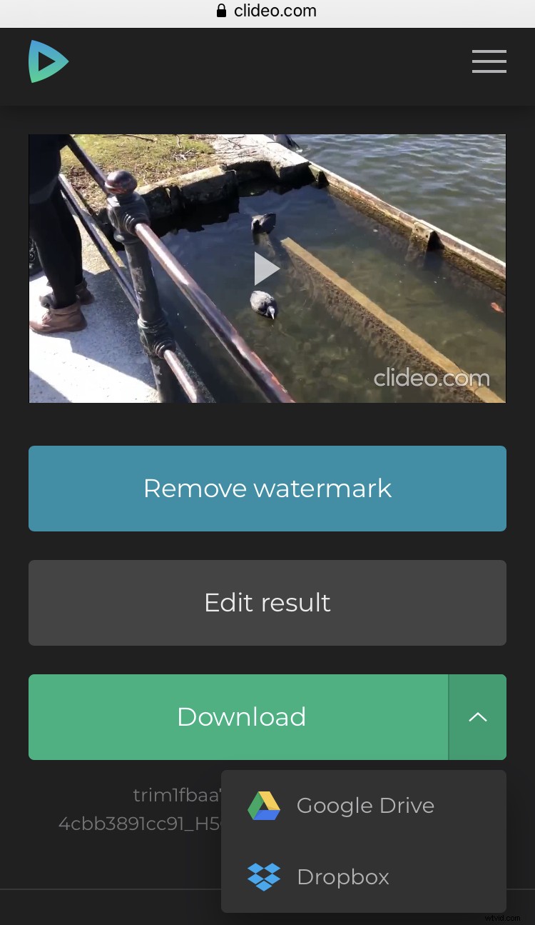 How to Reverse Videos on iPhone: Easy Step-by-Step Guide