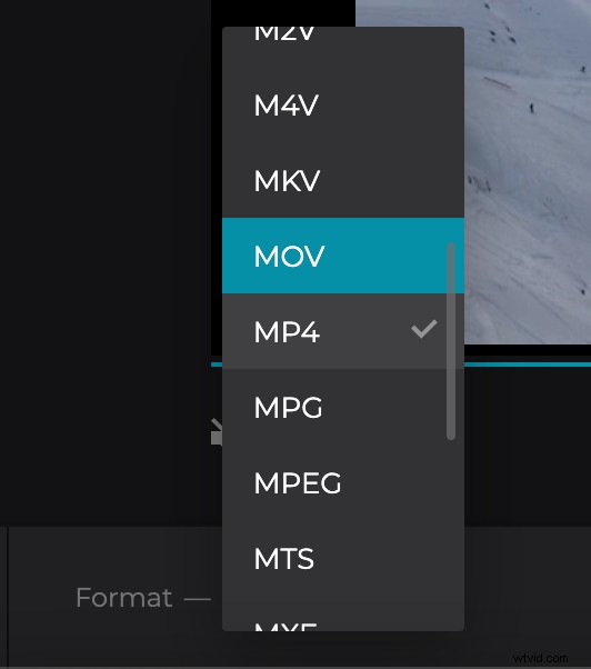 How to Add Professional Cinematic Black Bars to Your Videos Like a Pro