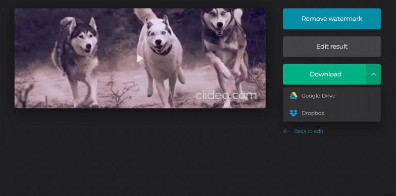 Easily Convert GIF to Video for Instagram: Free Online Tool