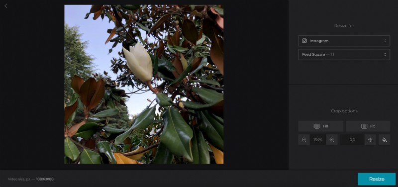 How to Perfectly Fit Any Photo on Instagram: Add Borders or Resize Effortlessly