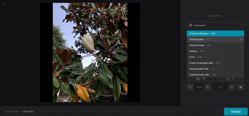 How to Perfectly Fit Any Photo on Instagram: Add Borders or Resize Effortlessly