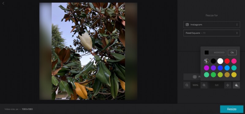 How to Perfectly Fit Any Photo on Instagram: Add Borders or Resize Effortlessly