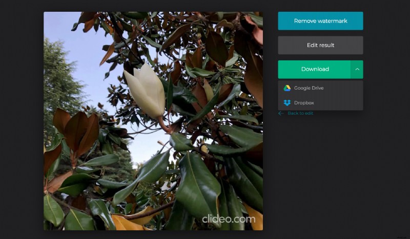 How to Perfectly Fit Any Photo on Instagram: Add Borders or Resize Effortlessly