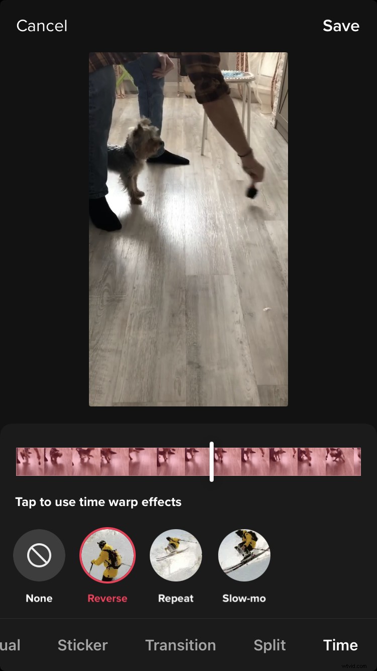 How to Reverse Videos on TikTok: 2 Easy Methods