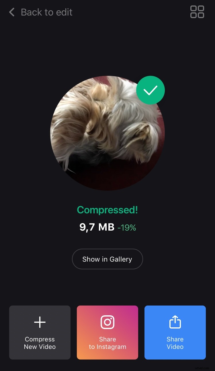 How to Compress iPhone Videos: Reduce File Size Easily with Free App