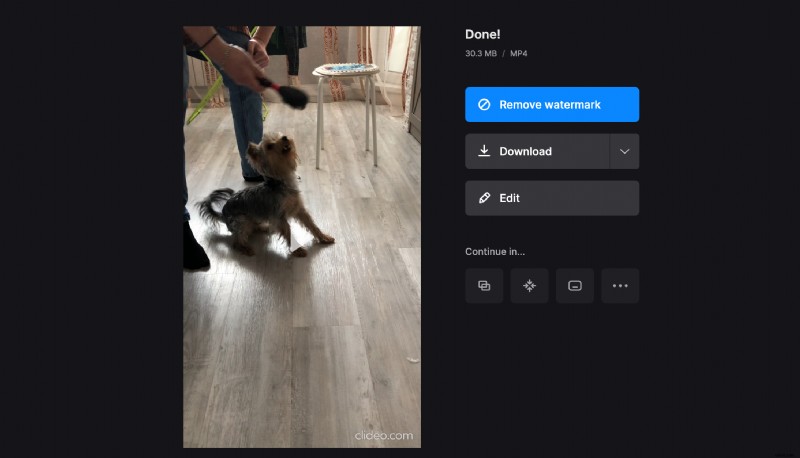 Add Audio to GIFs Online – Free, Easy-to-Use Editor