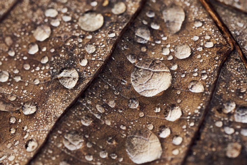 Zoom Lens in Photography: Definition, Focal Length, and Key Benefits