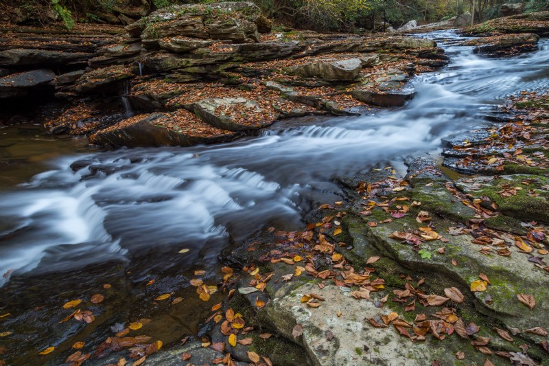 Essential Digital Camera Modes Explained: Aperture, Shutter Speed & ISO Guide