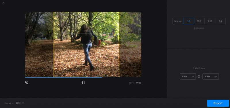 Crop Videos Online Easily on Windows: Free No-Install Tool