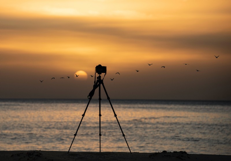 What is a Tripod? Definition, Types, and Essential Uses in Photography