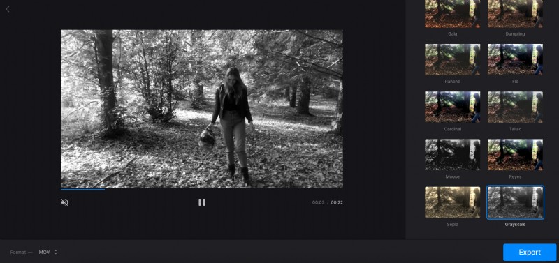 How to Convert Videos to Grayscale Online – Free & Easy with Clideo