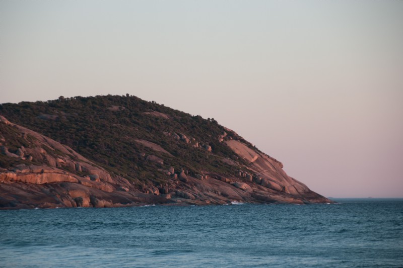 Prime vs. Zoom Lenses: Ultimate Comparison Guide for Photographers