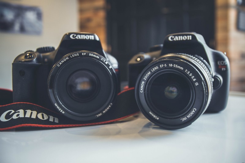 Prime vs. Zoom Lenses: Ultimate Comparison Guide for Photographers