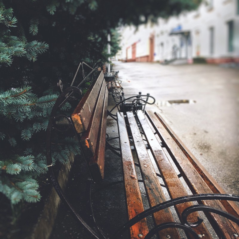 Depth of Field in Photography: Complete Guide to Shallow & Deep DoF