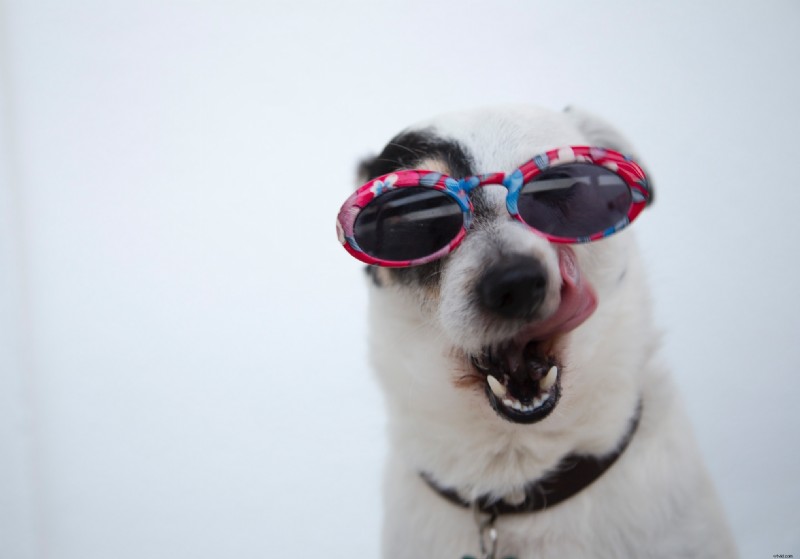 What Is a Meme? Definition, Examples & How They Go Viral