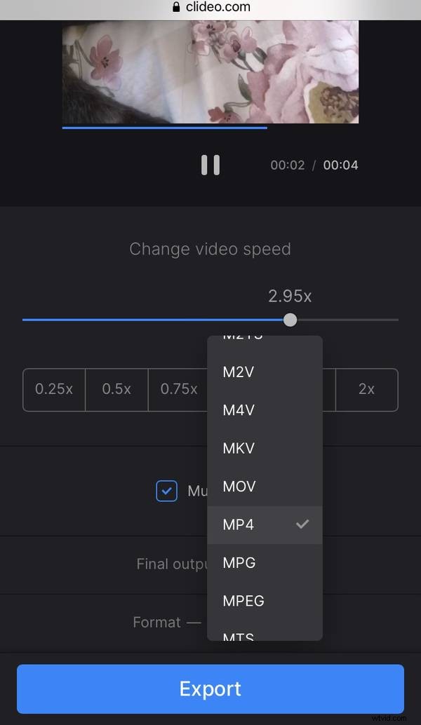 How to Convert iPhone Videos to Slow Motion After Recording