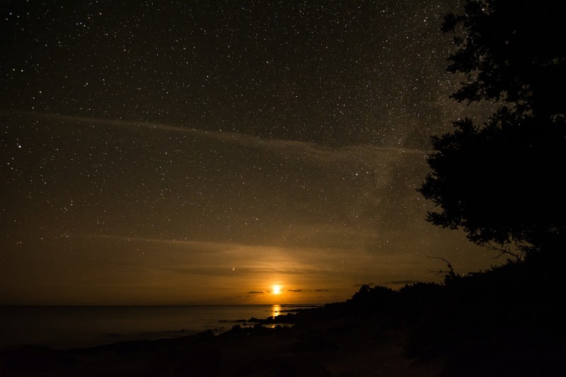 Master Nighttime Photography: Expert Tips for Stunning Low-Light Shots