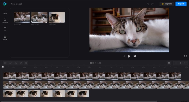 Easy Step-by-Step Guide: Create Hilarious Pet Videos Online