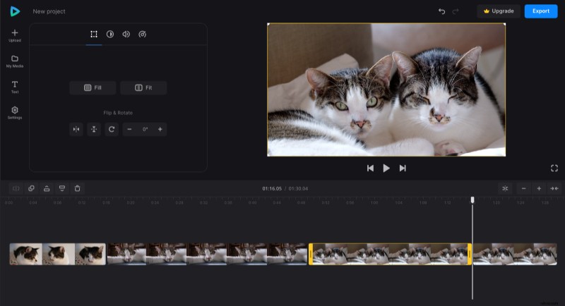 Easy Step-by-Step Guide: Create Hilarious Pet Videos Online