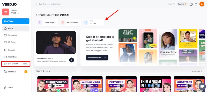 Master Live Streaming with VEED: Beginner s Guide to Going Live Like a Pro