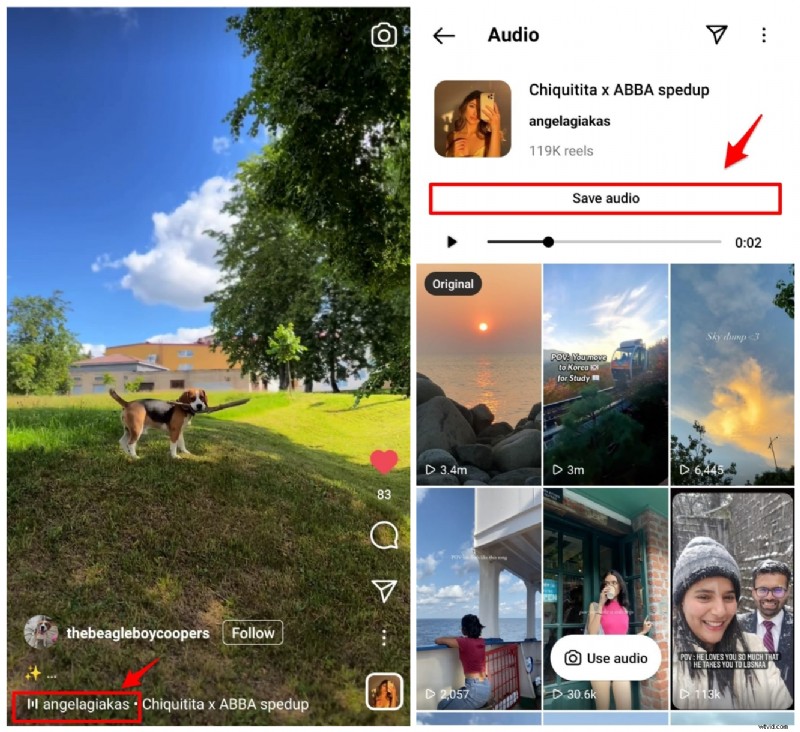 Master Instagram Reels: Create & Edit Like a Pro – Ultimate Beginner s Guide