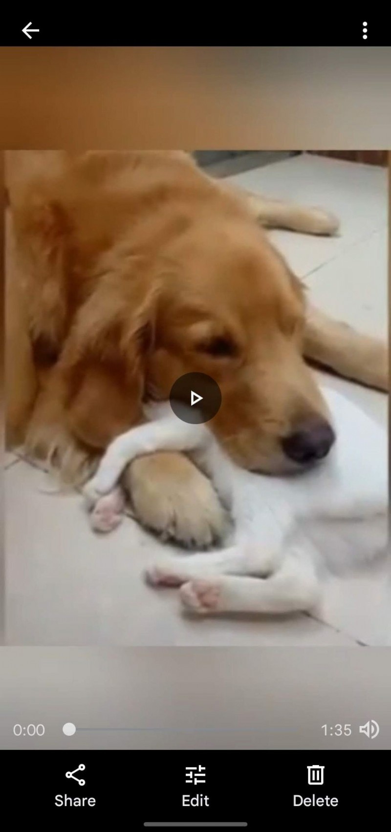 7 Effortless Ways to Remove Audio from Video: Step-by-Step Guides