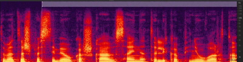 Expert Guide: How to Effectively Remove Background Noise from Audio Recordings