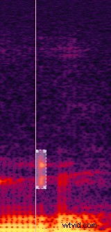 Expert Guide: How to Effectively Remove Background Noise from Audio Recordings