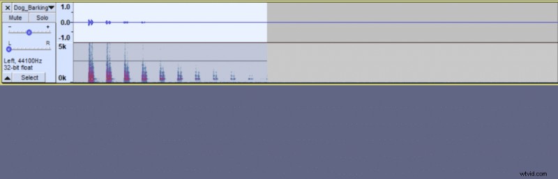 How to Add Echo Effects in Audacity: Step-by-Step Guide