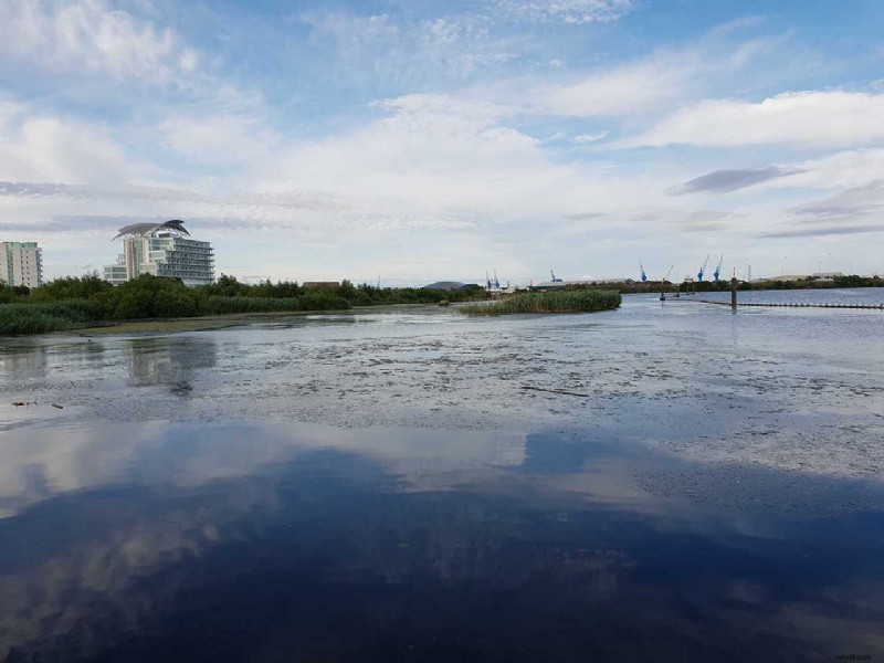 Master Pro Camera Mode on Samsung Galaxy S10: Expert Step-by-Step Guide