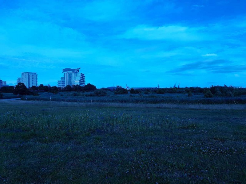 Master Pro Camera Mode on Samsung Galaxy S10: Expert Step-by-Step Guide