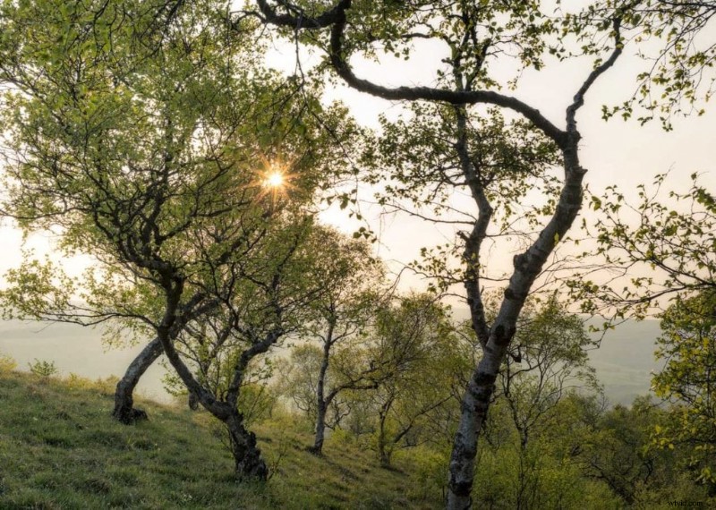 5 Proven Ways to Overcome Your Landscape Photography Rut